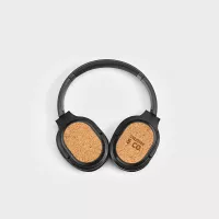 Faraday Headphones