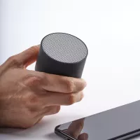 Gauss Speaker