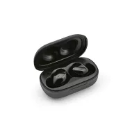 Pasteur Earbuds Fekete