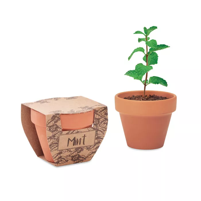 MINT-POT-Terrakotta-ulteto-menta-barna__653198