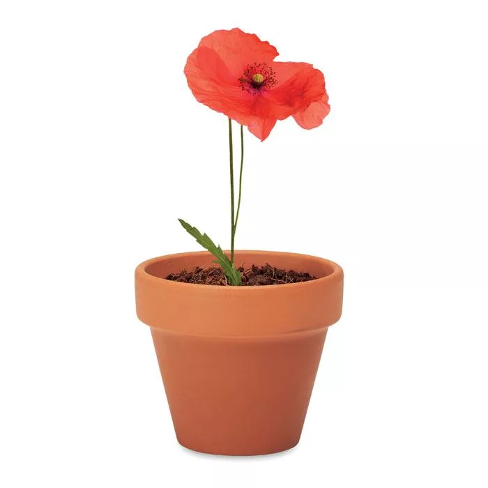 RED-POPPY-Terrakotta-ulteto-pipacs-barna__624588