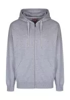 Team Zip Hoodie Sport Grey