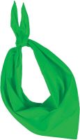 FIESTA - BANDANA Green